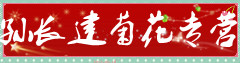 孙长建菊花专营