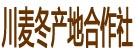川麦冬产地直销大货批发