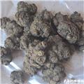 川芎 无硫 个子 统货