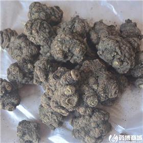 川芎 无硫 个子 统货