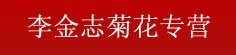 李金志菊花专营