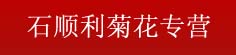 石顺利菊花专营