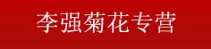 李强菊花专营