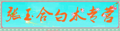 张玉合白术专营