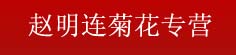 赵明连菊花专营