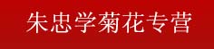 朱忠学菊花专营
