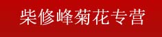 柴修峰菊花专营