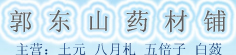 郭东山药材铺