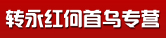 安徽省亳州市冯园79号