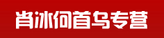 肖冰何首乌专营