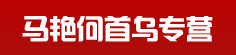 马艳何首乌专营