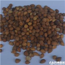 郁李仁（内蒙）统