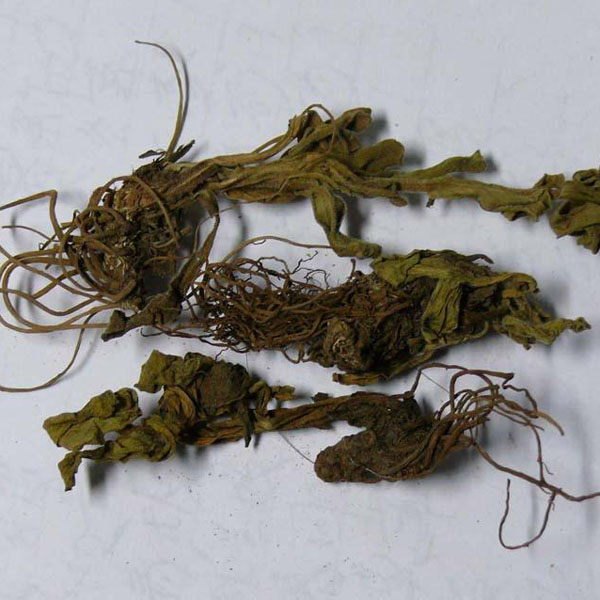 海金沙草 大货 价格面议