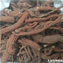 丹参 个子 优质大货