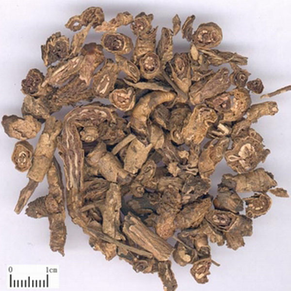 黄连 大货 价格面议