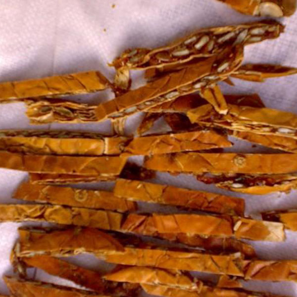 瓜蒌 大货 价格面议