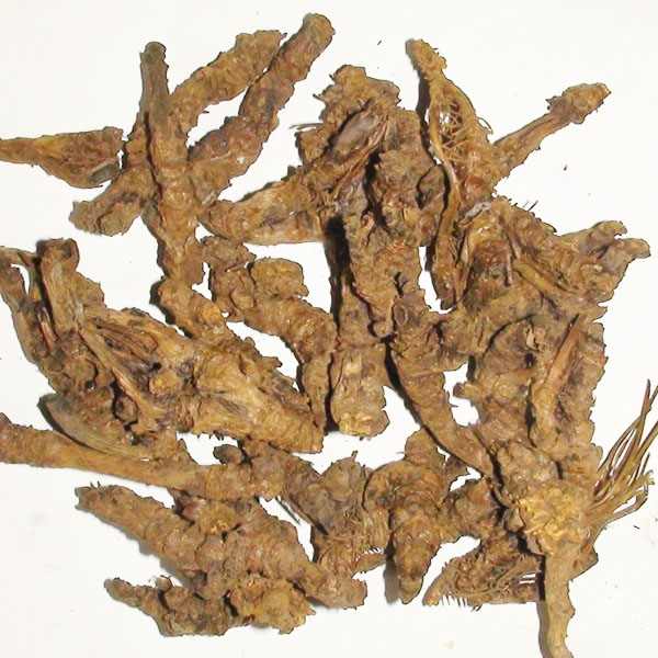 黄连 四川大货 各种规格