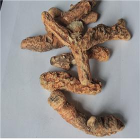 知母 个子 优质大货 河北 主治温热病