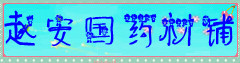 赵安国药材铺