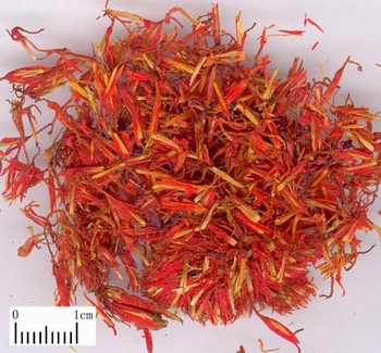红花 大货 价格面议