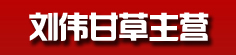 刘伟甘草主营