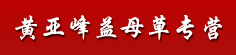 黄亚峰益母草专营