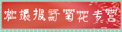 杜振报野菊花专营