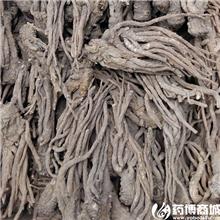 当归 优质 补血活血..