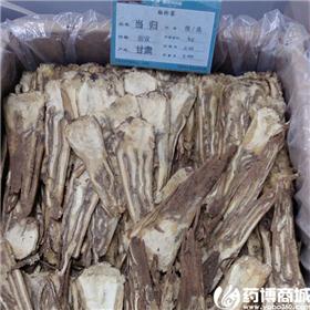 当归 刨片 补血活血 调经止痛 润肠通便