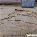 黄芪 刨片 质优价廉 补气固表 利尿托毒 排脓 敛疮生肌