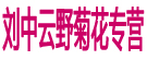 刘中云野菊花专营