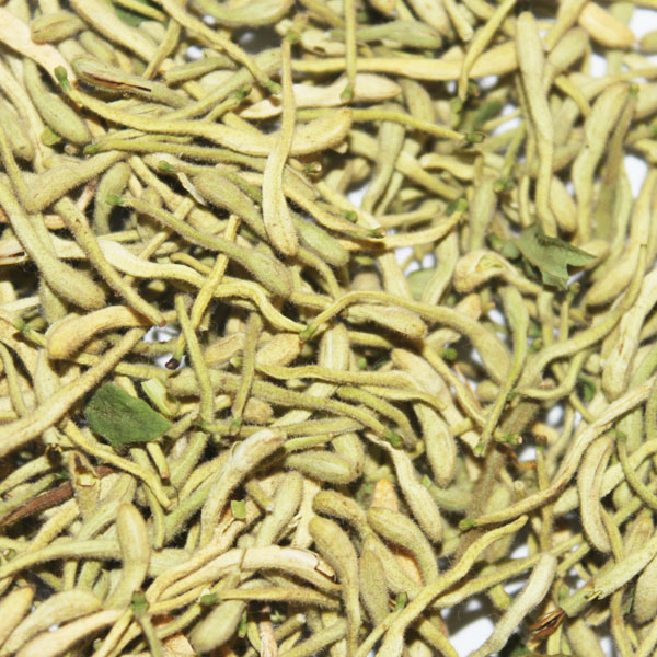 金银花 浙江大货 统