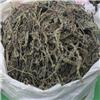 车前草（统）优质价廉 凉血 解毒