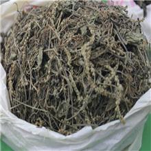 车前草（统）优质价廉..