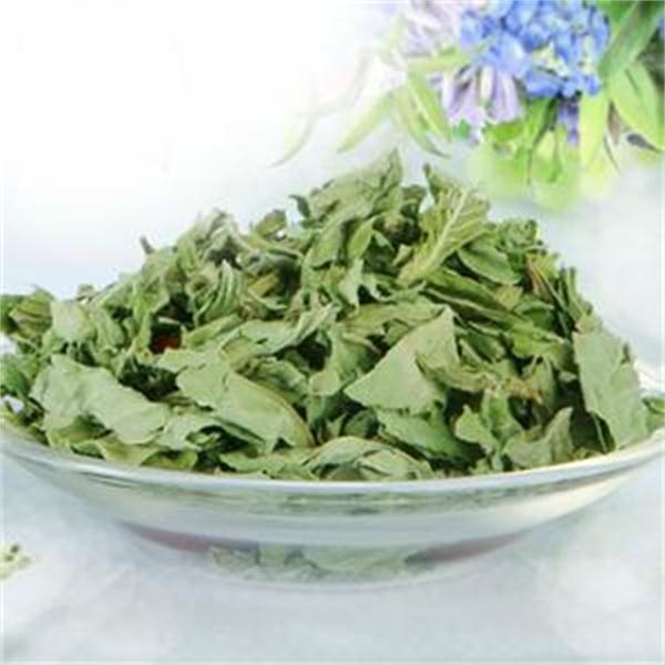 薄荷 优质价廉 风热感冒 风温初起
