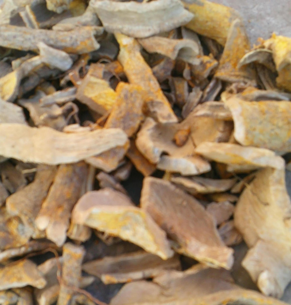 紫荆皮 大货 价格面议
