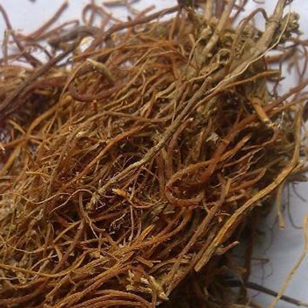 龙胆草 大货 价格面议