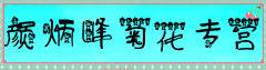 颜炳峰菊花专营