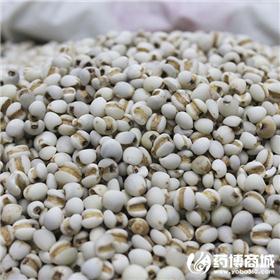 薏米仁 优质大货 利湿健脾 舒筋除痹 清热排脓