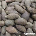 胖大海 大货供应 清热润肺 利咽解毒 润肠通便