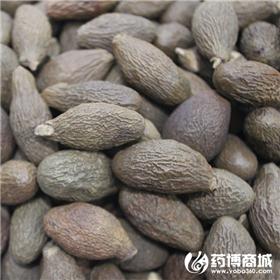 胖大海 大货供应 清热润肺 利咽解毒 润肠通便