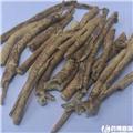 白鲜皮