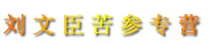 刘文臣苦参专营