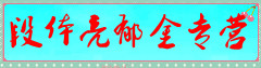 段体亮郁金专营