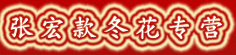 张宏款冬花专营