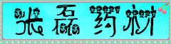 张磊药材