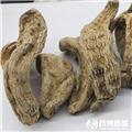 天麻 统货 优质大货 平肝息风止痉