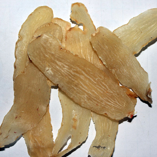 天麻