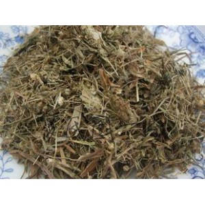 小米草 大货 价格面议