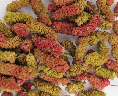 桑椹 大货 价格面议